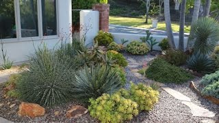 Design Ideas from an AwardWinning Succulent Garden [upl. by Neerhtak425]