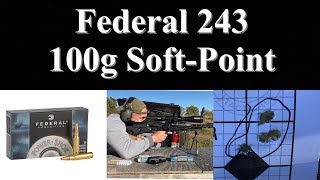 Federal 243 Soft Point [upl. by Wellington]