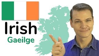 The Irish Language Gaelic [upl. by Adnic40]