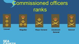 British Army Ranks And Royal Air Force Ranks [upl. by Chaudoin]