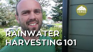 Rainwater Harvesting 101 [upl. by Renfred]