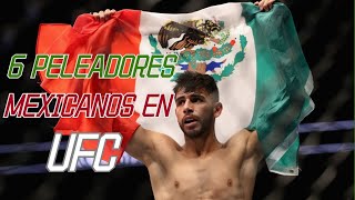 6 Peleadores Mexicanos En UFC [upl. by Halfon873]