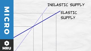 Elasticity of Supply [upl. by Lekzehcey]