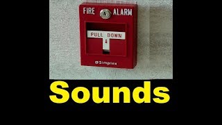 Fire Alarm Sound Effects All Sounds [upl. by Nileuqcaj]