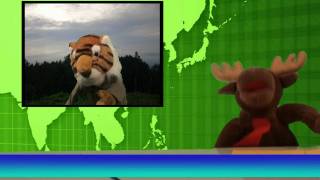 International Weather Report  Simple Skits [upl. by Adnohs]