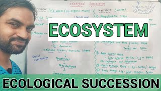 Ecosystem  Ecological succession  Hydrosere and Xerosere [upl. by Bainbrudge]