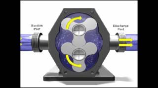 Rotary Pump Demonstration [upl. by Eadrahs458]