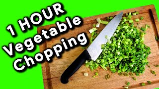 ASMR 1 Hour Compilation 03  Vegetable Chopping Channel [upl. by Atiek]