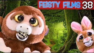 Feisty Films Ep 38 The Constipated Ape [upl. by Lecia]