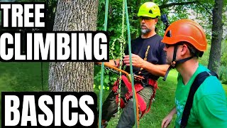 Tree Climbing Basics What Equipment Do I Need To Climb a Tree  Basic Gear  Stan Dirt Monkey [upl. by Mile]