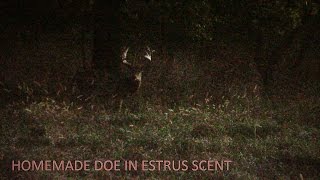 How to Make Homemade Doe in Estrus Scent [upl. by Hulen907]