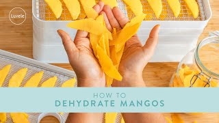 How to Dehydrate Mango  Luvele Breeze Dehydrator [upl. by Notgnirrab]