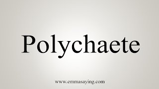 How To Say Polychaete [upl. by Ehman406]