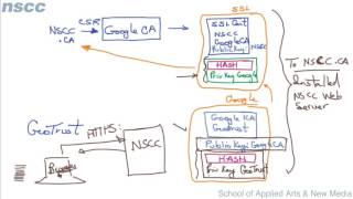 Digital Certificates Chain of Trust [upl. by Eveineg]