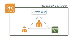 What is a PPO health insurance plan [upl. by Phelia64]