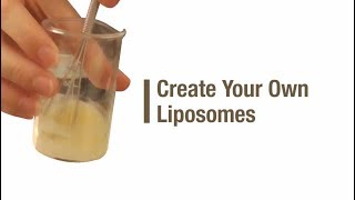 Create your own liposomes [upl. by Shanahan270]