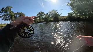 Grayling fishing [upl. by Abdu]