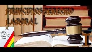 Principios del Derecho Laboral Bolivia [upl. by Ahcire497]