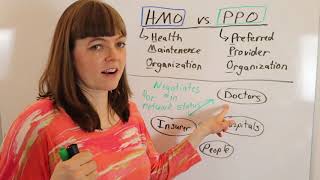 What is an HMO v PPO Health Insurer [upl. by Eudora]