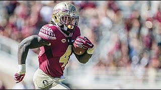 Ultimate Dalvin Cook Highlights  HD [upl. by Gaston]