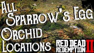 Red Dead Redemption 2  All 25 Sparrows Egg Orchid Locations Duchesses and Other Animals Exotics [upl. by Suoivatnod]