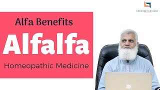 Alfalfa Homeopathic Medicine URDU  What is Alfalfa Tonic Alfa Benefits amp Uses [upl. by Bradney]