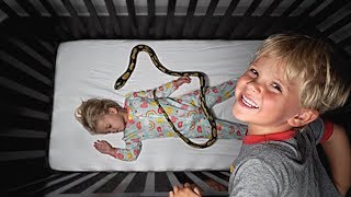 Tydus put a fake SNAKE in RyRys BED Big Trouble [upl. by Niwre]