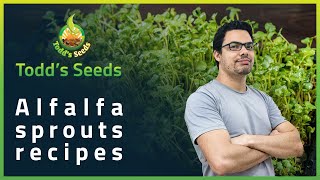 Alfalfa Sprouts Recipes [upl. by Farrish]