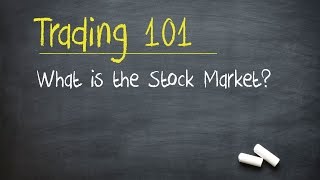 Trading 101 What is the Stock Market [upl. by Nangatrad385]