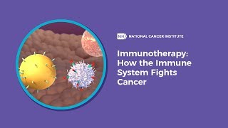 Immunotherapy How the Immune System Fights Cancer [upl. by Aivuy]