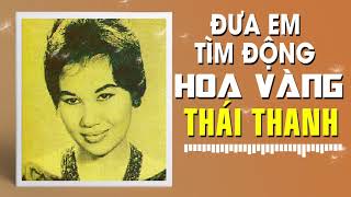 THÁI THANH  ĐƯA EM TÌM ĐỘNG HOA VÀNG PHẠM DUY [upl. by Neehsar]