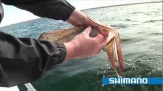 How to catch Squid quotPart 1quot  SHIMANO FISHING [upl. by Heloise256]