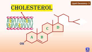 9 Cholesterol Structure amp Functions  Lipid Chemistry9  Biochemistry  NJOY Biochemistry [upl. by Eliott]