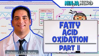 Metabolism  Fatty Acid Oxidation Part 2 [upl. by Thormora]