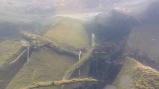 Underwater Footage Quarry Park St Cloud MN [upl. by Marty761]