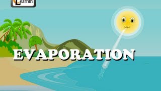 Evaporation  Elementary Science [upl. by Owain]