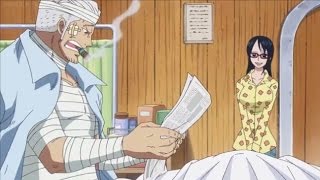 Smokey Learns About Luffy and Laws Victory  One Piece 736 [upl. by Sirovat]