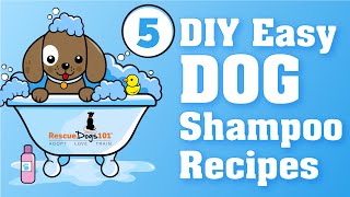 5 Easy Homemade DIY Dog Shampoo Recipes [upl. by Shawna]