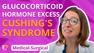 Glucocorticoid Hormone Excess Cushings Syndrome  Medical Surgical  Endocrine  LevelUpRN [upl. by Adnirod522]