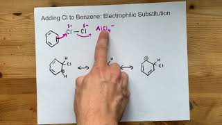 Adding Cl to Benzene Electrophilic Substitution [upl. by Emorej750]