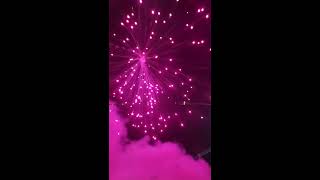 VANITHA FIREWORKS  PURPLE RAIN 2020 [upl. by Yticilef]