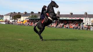 Hunt and Stunts  jumping Amazing Horse Freestyle [upl. by Adleremse]