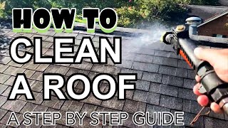 HOW TO SOFT WASH A ROOF  A Step by Step Explanation [upl. by Meelas]