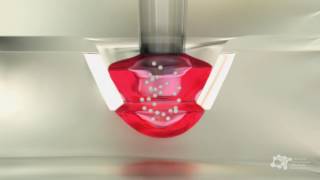 Organs Bioprinting – 1st Spheroid formation process by the Hanging Drop Method [upl. by Lear]