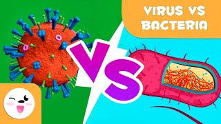 Viruses Vs Bacteria  What are their differences [upl. by Ayana31]