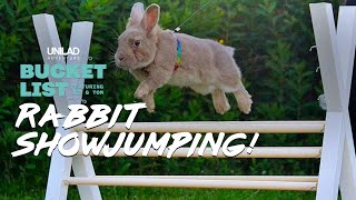 The Worlds Cutest Sport  Rabbit Show Jumping [upl. by Aloysia868]