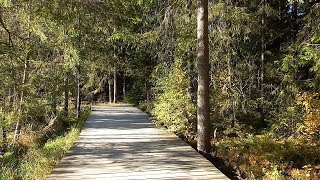 Fichtelgebirge Kleine Wanderung rund um den Fichtelsee [upl. by Niajneb195]