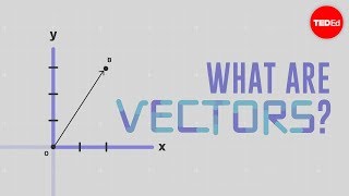 What is a vector  David Huynh [upl. by Kevina]