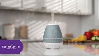 Sweet Aroma™ Ultrasonic Diffuser  Young Living Essential Oils [upl. by Avehs393]