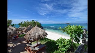 Top 10 Resorts in Cebu Philippines  Great Travel Videos [upl. by Tehr267]